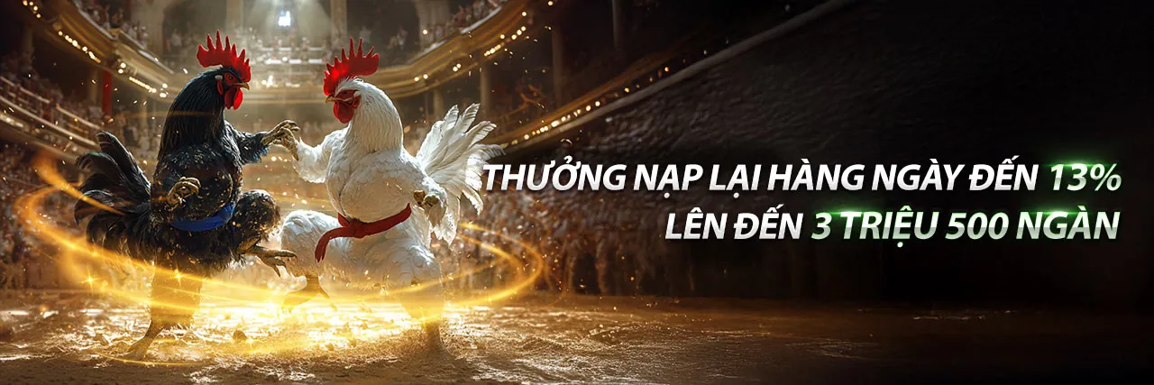 Đá gà trực tuyến kịch tính tại kg88 link mới